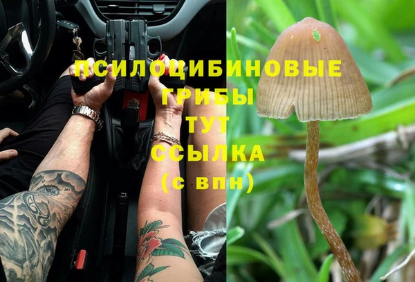 марки lsd Абаза