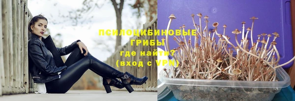 стафф Алексеевка